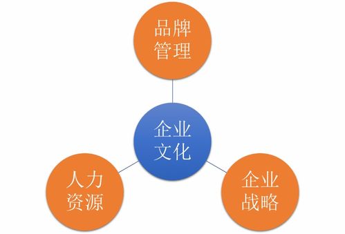 如何為甲方提供滿意的企業文化咨詢服務